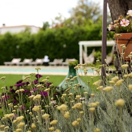 Trullo Rinaldi - Private Pool And Sauna *