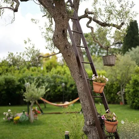 Trullo Rinaldi - Private Pool And Sauna Casa de Férias *