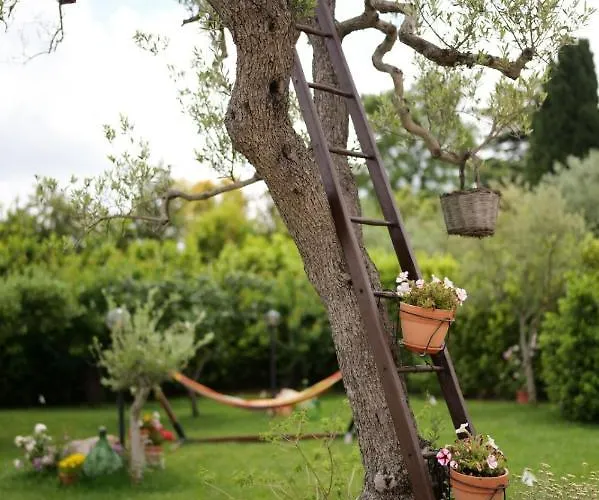 Trullo Rinaldi - Private Pool And Sauna Prázdninový dům *